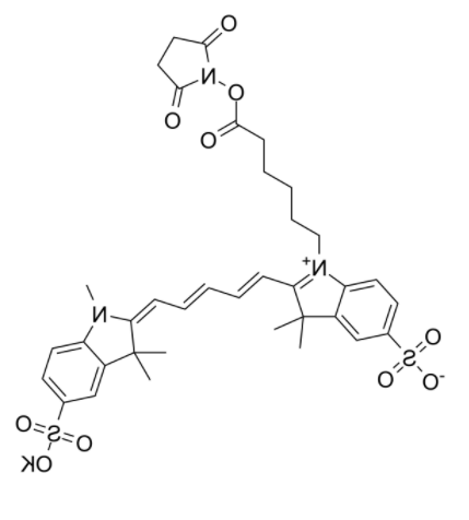 	磺基花青5 NHS酯	 