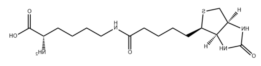 生物素-D-赖氨酸 生物素-D-赖氨酸