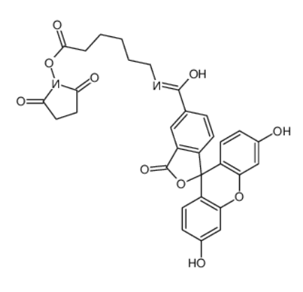 5-FAM-X NHS ester 