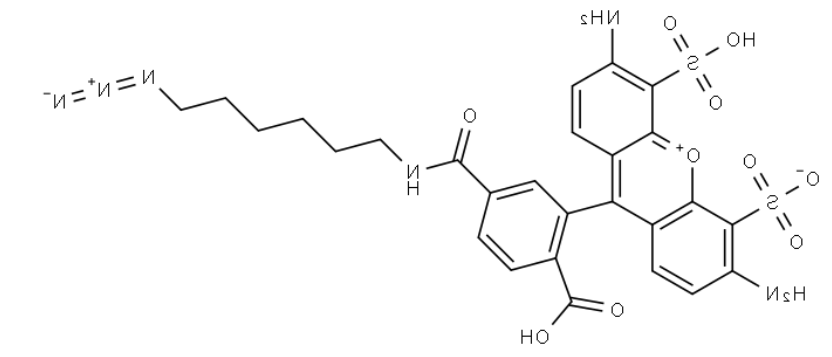 6-AF488 C6 N3 