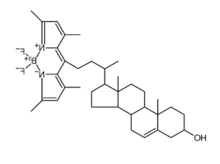 BODIPY Cholesterol