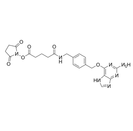 2-Aminopurine-O-Ph-NHCO-C3-NHS ester 2-Aminopurine-O-Ph-NHCO-C3-NHS ester
