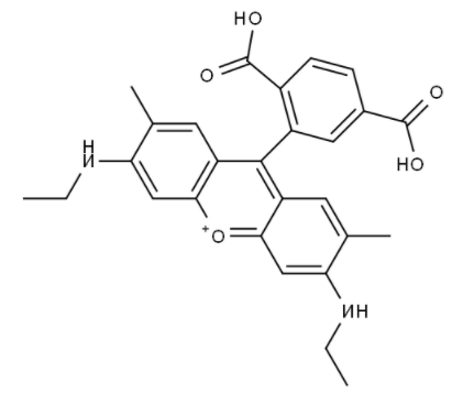 6-Rhodamine 6G Acid 