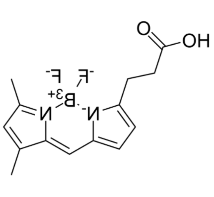 3-Bodipy-propanoic Acid 