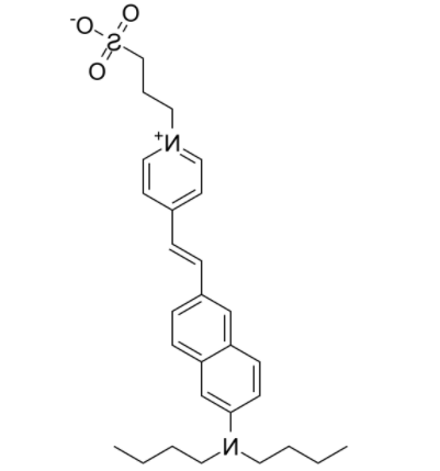 Di-4-ANEPPS 