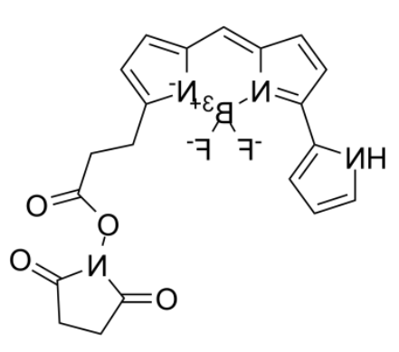 Py-BODIPY-NHS ester Py-BODIPY-NHS ester