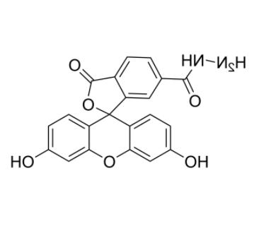 FAM hydrazide, 6-isomer FAM hydrazide, 6-isomer