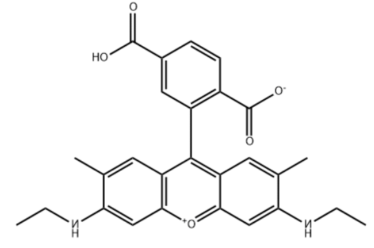 6-Rhodamine 6G COOH   