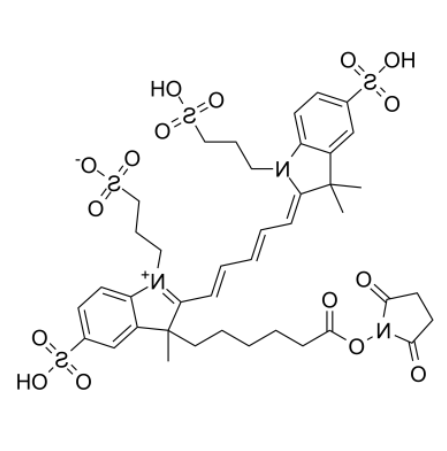 AF647-NHS ester AF647-NHS ester
