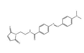6-Carboxyrhodamine 110 NHS Ester 6-Carboxyrhodamine 110 NHS Ester