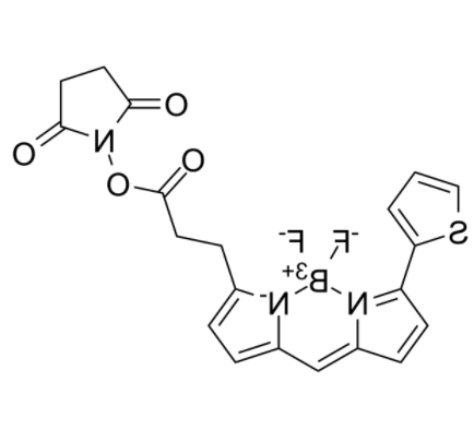 1755502454926536.png image.png