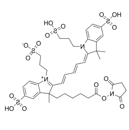 AF647-NHS ester AF647-NHS ester