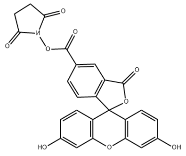 5-Carboxyfluorescein N-succinimidyl ester 5-Carboxyfluorescein N-succinimidyl ester
