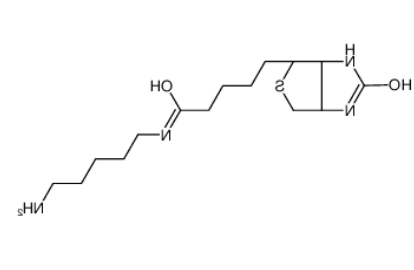 生物素-C5-胺 生物素-C5-胺