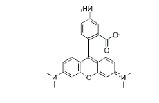 80724-17-0，5-Aminotetramethylrhodamine