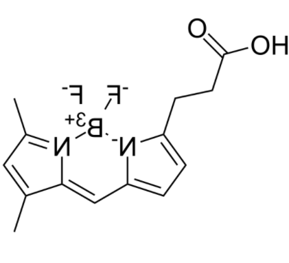 3-Bodipy-propanoic Acid 