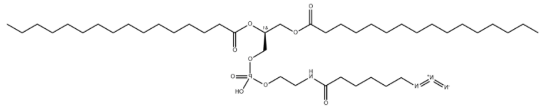 DPPE-Azide DPPE-Azide