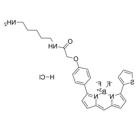BODIPY TR Cadaverine 