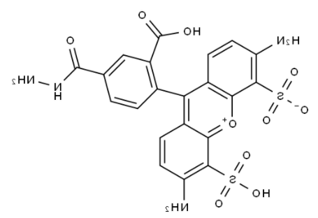 BP Fluor 488 Hydrazide 