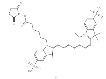  diSulfo-Cy7 NHS ester(Ethyl)     