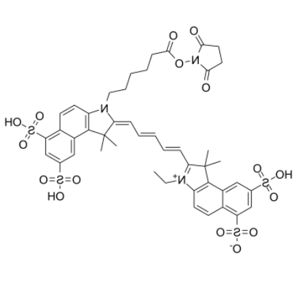 Cy5.5-N-羟基琥珀酰亚胺酯 Cy5.5-N-羟基琥珀酰亚胺酯