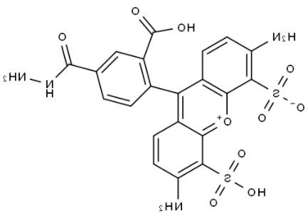 BP Fluor 488 Hydrazide	 
