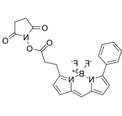 BIODIPY R6G ester BIODIPY R6G ester