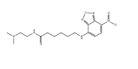 Lysotracker Yellow HCK-123