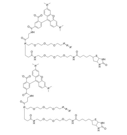 TAMRA-Azide-PEG-Biotin TAMRA-Azide-PEG-Biotin