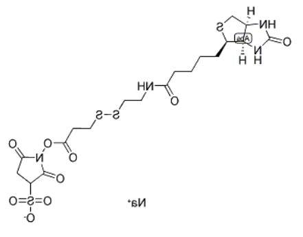 NHS-SS-biotin NHS-SS-biotin