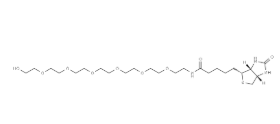 Biotin-PEG7-OH Biotin-PEG7-OH