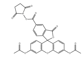 5-diacetate FAM NHS