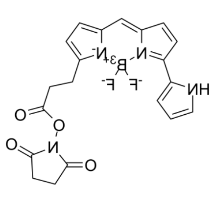 Py-BODIPY-NHS ester 