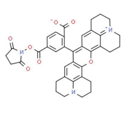 6-ROX NHS 活化酯 