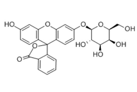 Fluorescein β-D-galactopyranoside Fluorescein β-D-galactopyranoside