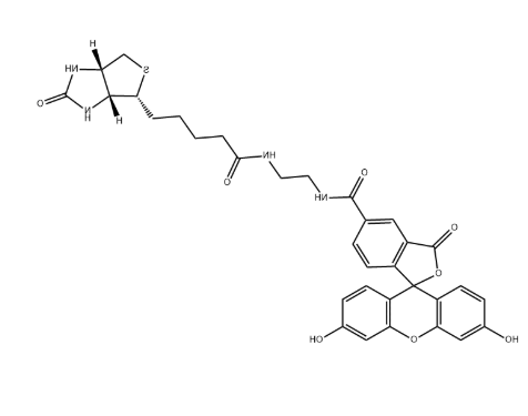Biotin-4-fluorescein Biotin-4-fluorescein