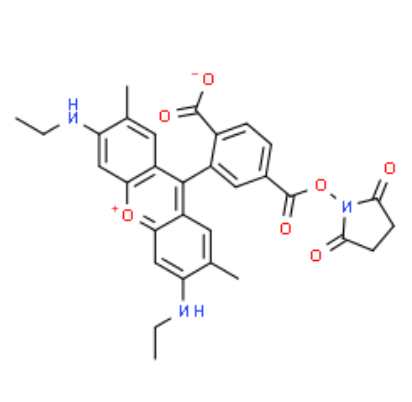 6-CARBOXYRHODAMINE 6G, SUCCINIMIDYL ESTER 