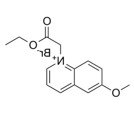 MQAE氯离子荧光探针 