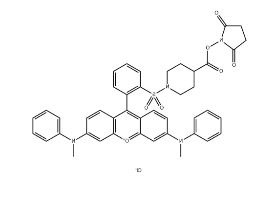 QSY-7 NHS ester