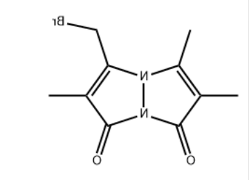 Monobromobimane (mBBr) Monobromobimane (mBBr)