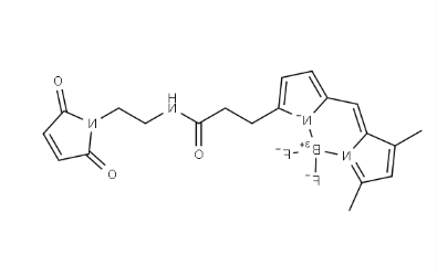 BDP FL Maleimide