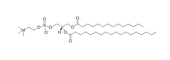 14:0-18:0 PC，CAS:76343-22-1，1-肉豆蔻酰-2-硬脂酰-sn-甘油-3-磷脂酰胆碱