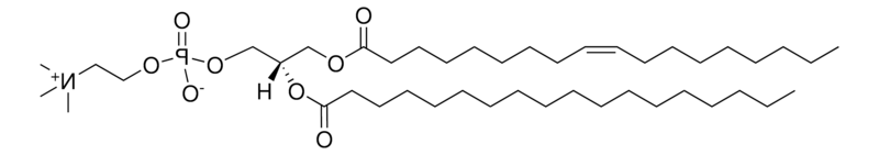 18:1-18:0 PC，CAS:7276-38-2，1-油酰-2-硬脂酰-sn-甘油-3-磷脂酰胆碱