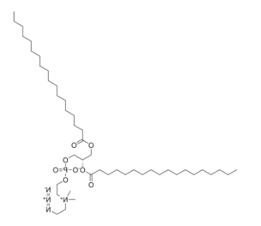 18:0 Azidoethyl PC，CAS: 2342574-09-6