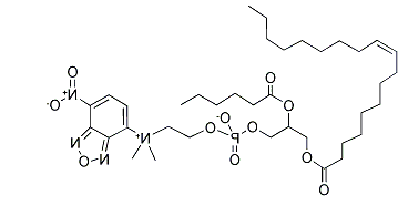 18:1-06:0 NBD PC，CAS:106974-05-4，18:1-06:0 氮芴基磷脂酰胆碱