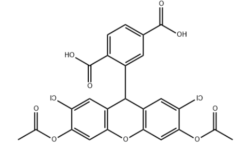 6-羧基-H2DCFDA 
