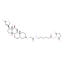 Digoxigenin NHS ester