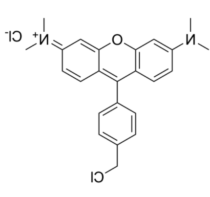 1758009306731372.png image.png