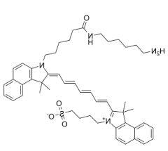 ICG-NH2