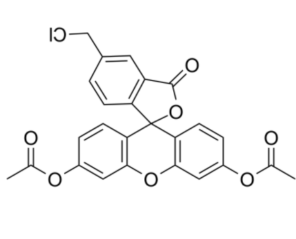 5-氯甲基荧光素二乙酸酯	 